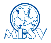 MBSV